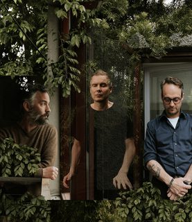 Sigur Ros image edited with trees and ferns surrounding them.