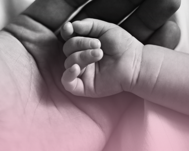 A baby'ss hand rests in an adults.