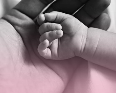 A baby'ss hand rests in an adults.