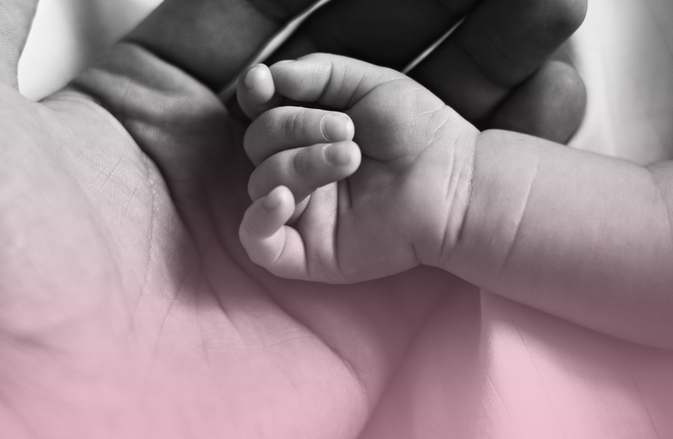 A baby'ss hand rests in an adults.