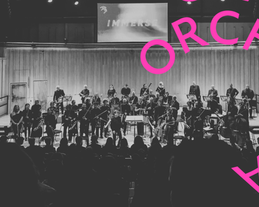 Jay Capperauld and the Orchestra perform to Immerse participants.