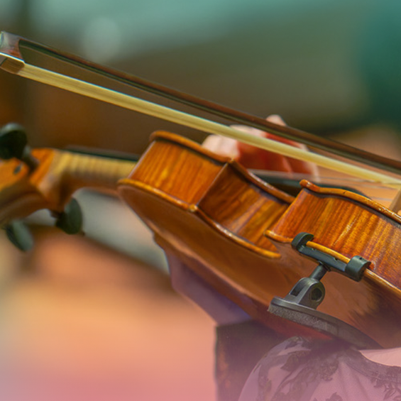 A violinist plays the violin