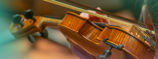 A violinist plays the violin