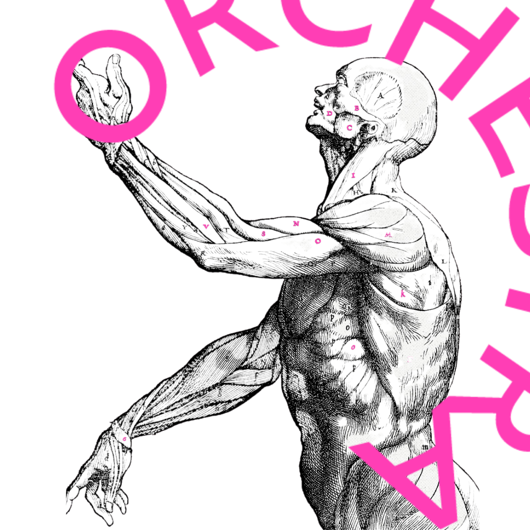 An anatomical drawing of a human body.