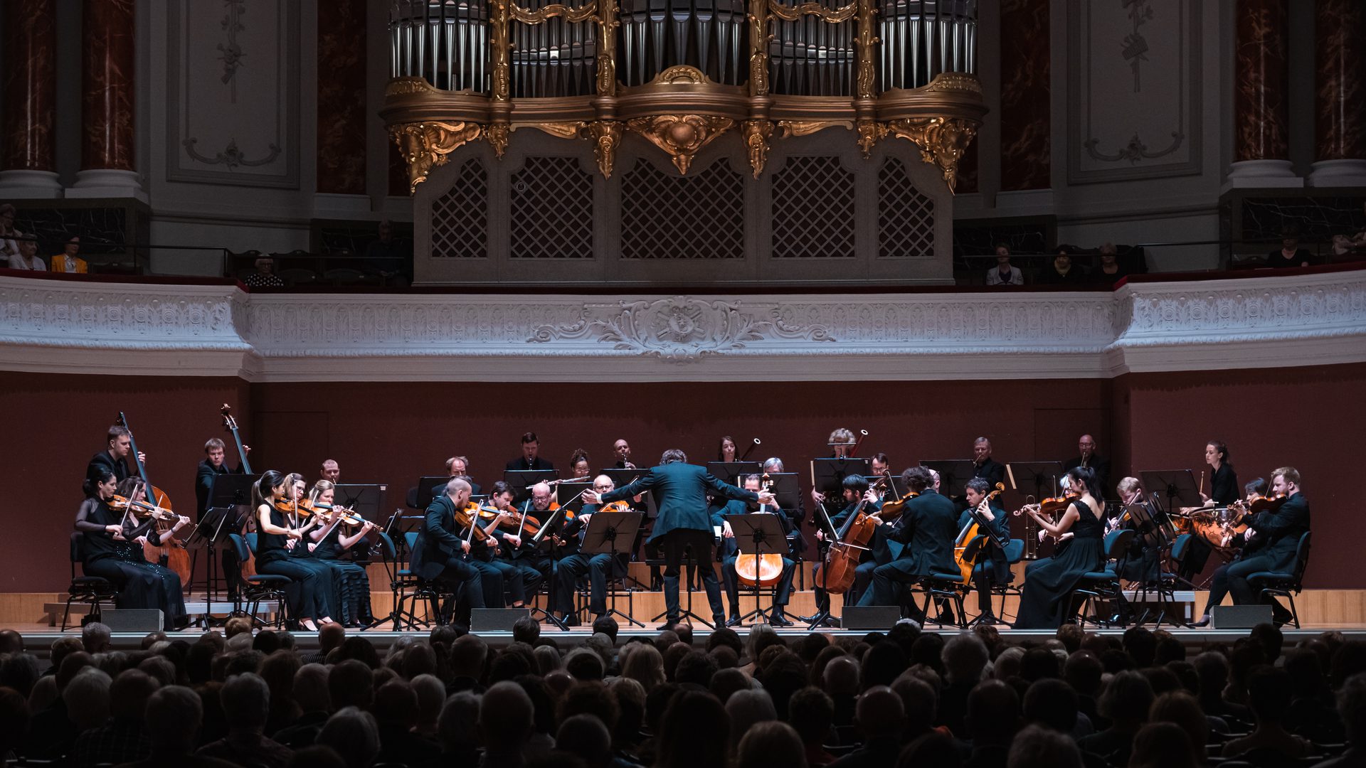 Maxim lead the Orchestra at the proms. The organ is visible and the backs of heads.
